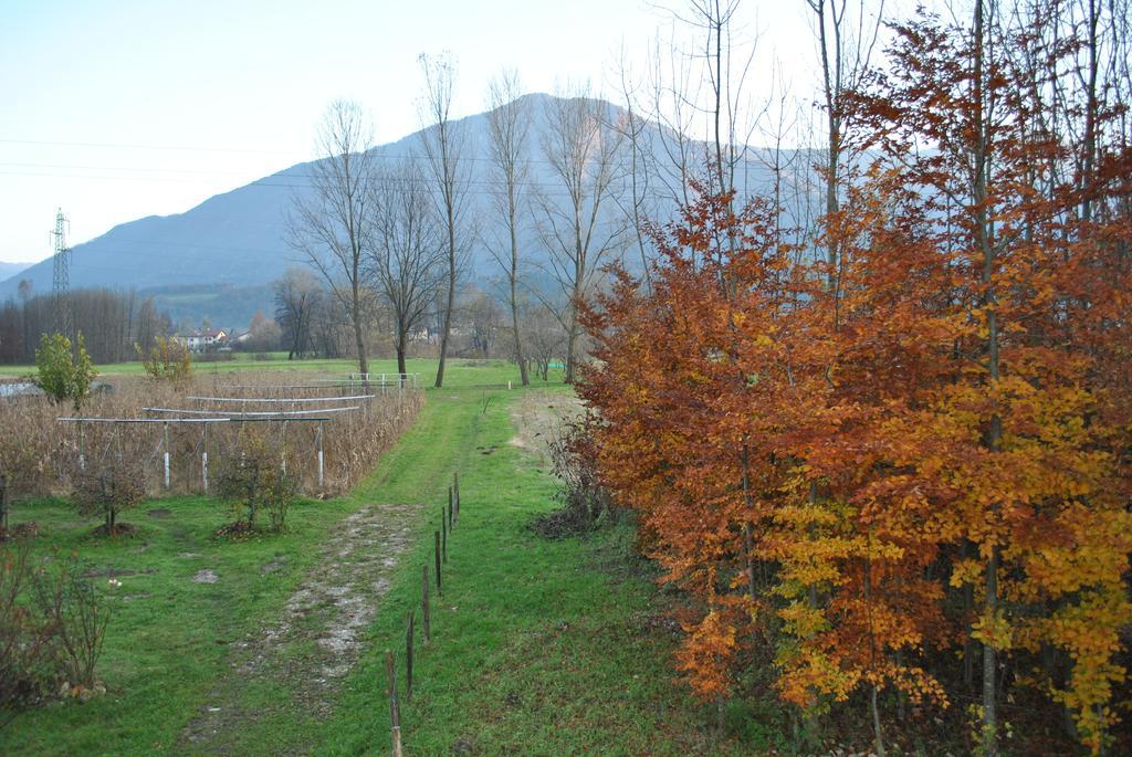 פלטרה Agriturismo Il Girasole מראה חיצוני תמונה