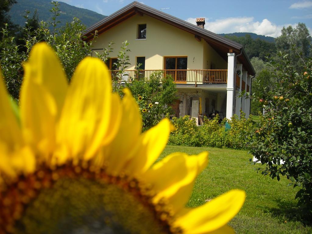 פלטרה Agriturismo Il Girasole מראה חיצוני תמונה
